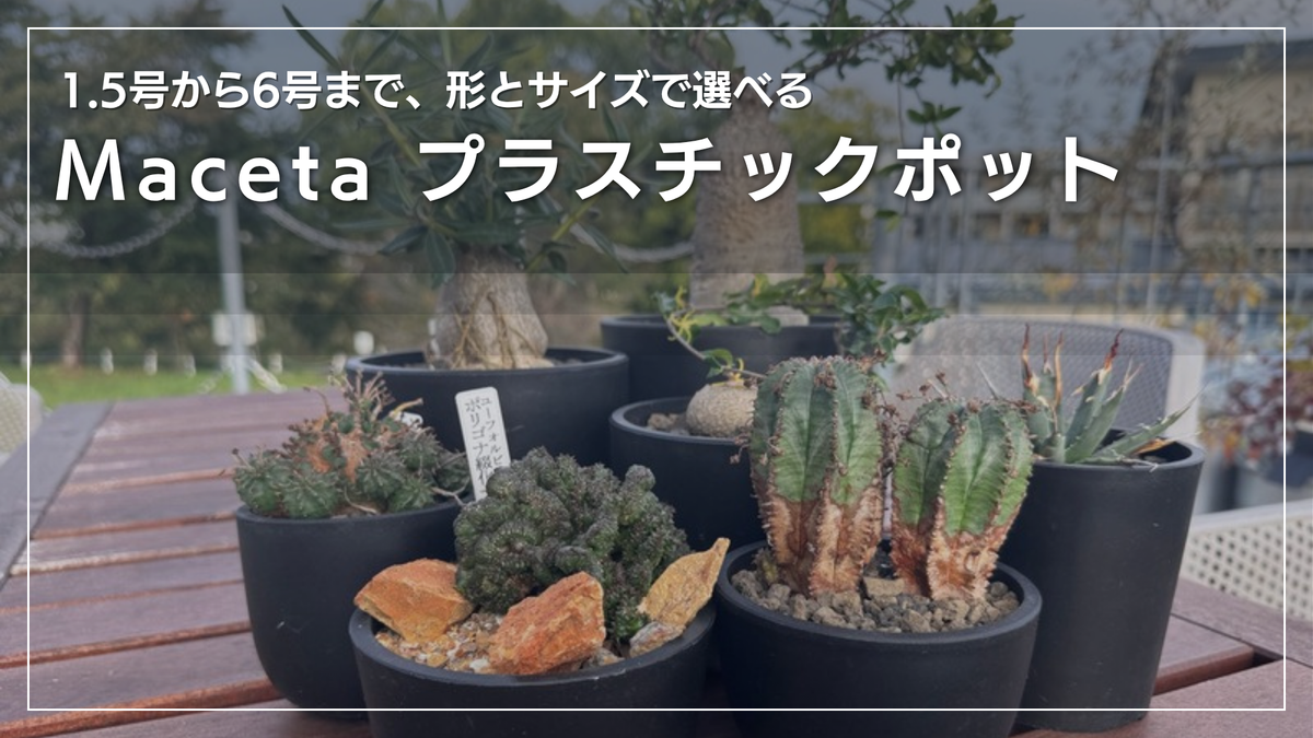 1.5号から6号まで、形とサイズで選べる Maceta プラスチックポット