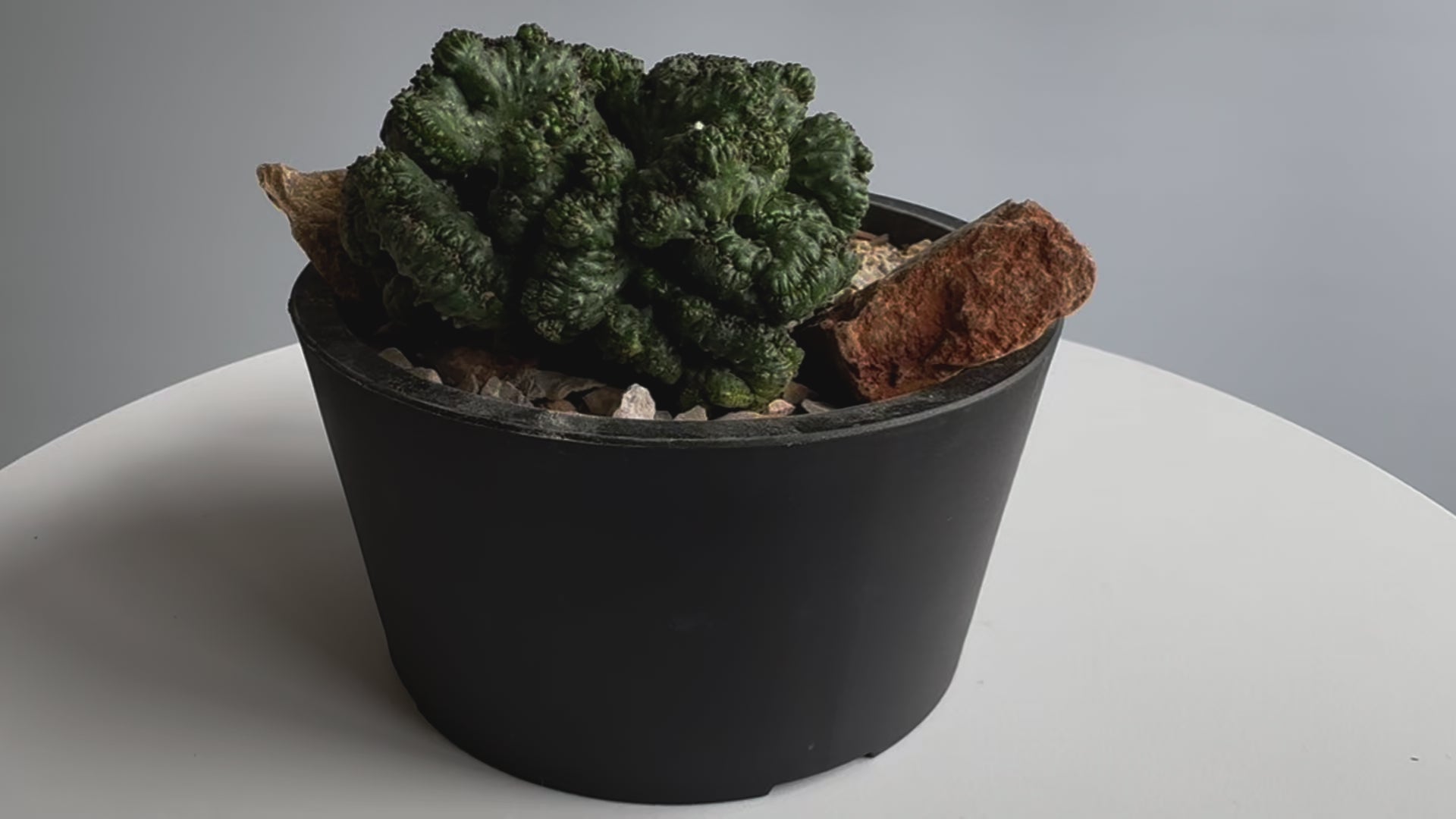 OSAKAYA メイクアップサンド No.1 / 250g – OSAKAYA OFFICIAL ONLINE STORE