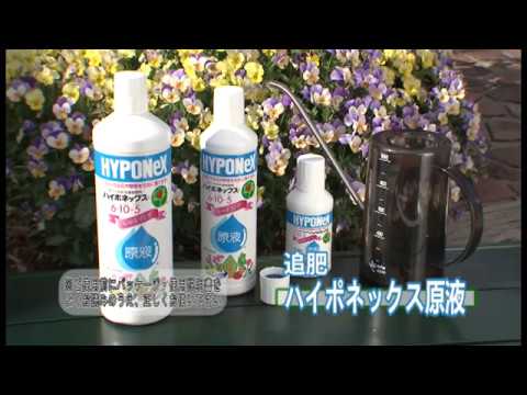 ハイポネックス原液 450ml – OSAKAYA OFFICIAL ONLINE STORE