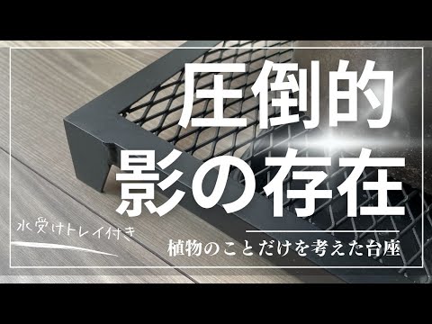 OSAKAYA 植物台座 KUROKO – OSAKAYA OFFICIAL ONLINE STORE