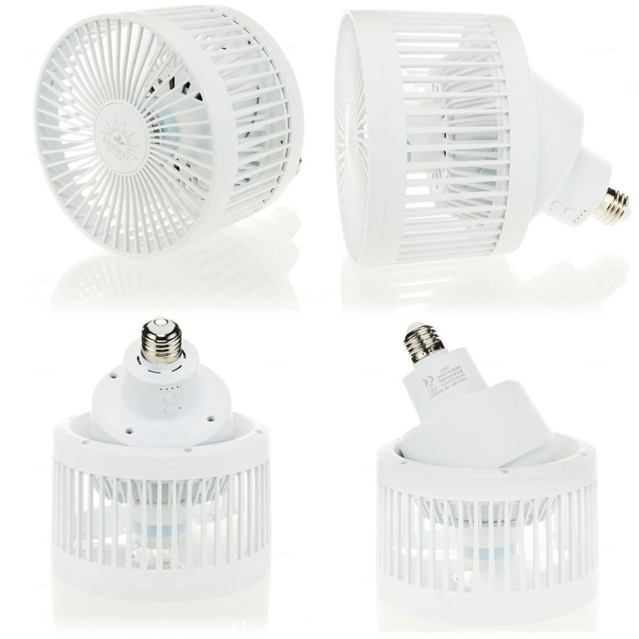 Aechmea Move植物用ファンWH